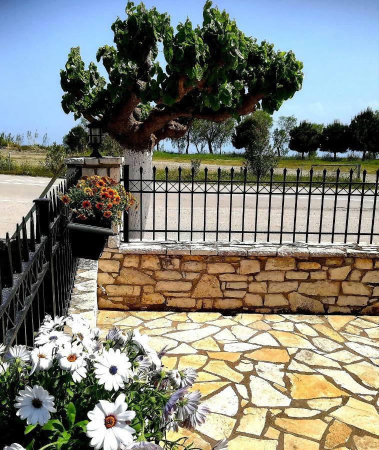Eleftheria'S Apartments Eratini Exterior photo